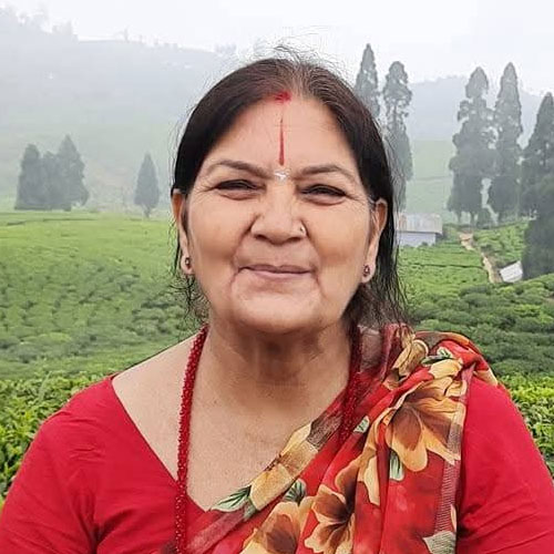 दामोदरी मिश्र
